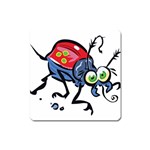 Bug Black Insect Animal Square Magnet