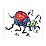 Bug Black Insect Animal Sticker A4 (10 pack)