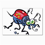 Bug Black Insect Animal Postcard 4 x 6  (Pkg of 10)