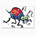 Bug Black Insect Animal Postcards 5  x 7  (Pkg of 10)