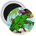 Parrot Hat Cartoon Captain 3  Magnets