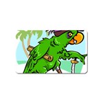 Parrot Hat Cartoon Captain Magnet (Name Card)