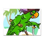 Parrot Hat Cartoon Captain Sticker A4 (100 pack)