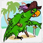 Parrot Hat Cartoon Captain Canvas 12  x 12 