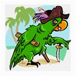 Parrot Hat Cartoon Captain Medium Glasses Cloth (2 Sides)