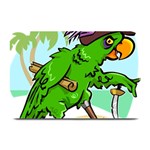 Parrot Hat Cartoon Captain Plate Mats
