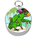 Parrot Hat Cartoon Captain Silver Compasses