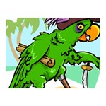 Parrot Hat Cartoon Captain Two Sides Premium Plush Fleece Blanket (Mini)