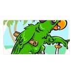 Parrot Hat Cartoon Captain Satin Shawl 45  x 80 