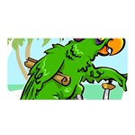 Parrot Hat Cartoon Captain Satin Wrap 35  x 70 