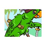 Parrot Hat Cartoon Captain Premium Plush Fleece Blanket (Mini)