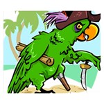 Parrot Hat Cartoon Captain Premium Plush Fleece Blanket (Small)