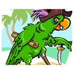 Parrot Hat Cartoon Captain Premium Plush Fleece Blanket (Medium)