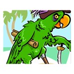 Parrot Hat Cartoon Captain Premium Plush Fleece Blanket (Large)