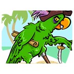 Parrot Hat Cartoon Captain Two Sides Premium Plush Fleece Blanket (Extra Small)