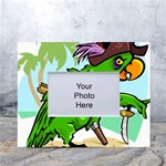 Parrot Hat Cartoon Captain White Tabletop Photo Frame 4 x6 