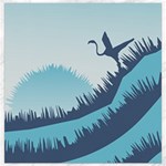 Swan Flying Bird Wings Waves Grass Canvas 16  x 16 