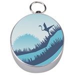 Swan Flying Bird Wings Waves Grass Silver Compasses