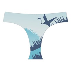 Swan Flying Bird Wings Waves Grass Cross Back Hipster Bikini Set from ArtsNow.com Front Under
