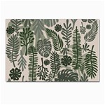 Plants Leaves Boho Botany Foliage Postcards 5  x 7  (Pkg of 10)