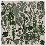 Plants Leaves Boho Botany Foliage Canvas 16  x 16 