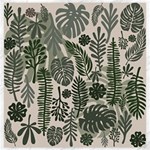 Plants Leaves Boho Botany Foliage Canvas 20  x 20 