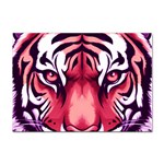 Tiger Design Sticker A4 (100 pack)