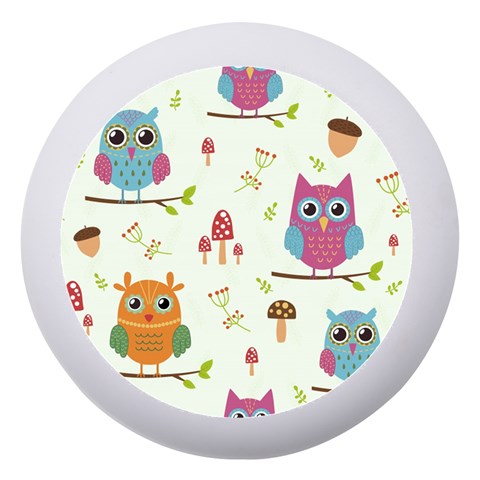 Forest Seamless Pattern With Cute Owls Dento Box with Mirror from ArtsNow.com Front