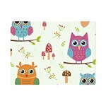 Forest Seamless Pattern With Cute Owls Premium Plush Fleece Blanket (Mini)