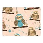 Seamless Pattern Owls Dream Cute Style Pajama Fabric Two Sides Premium Plush Fleece Blanket (Mini)