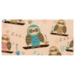 Seamless Pattern Owls Dream Cute Style Pajama Fabric Banner and Sign 4  x 2 