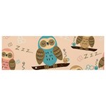 Seamless Pattern Owls Dream Cute Style Pajama Fabric Banner and Sign 9  x 3 
