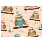 Seamless Pattern Owls Dream Cute Style Pajama Fabric Two Sides Premium Plush Fleece Blanket (Extra Small)