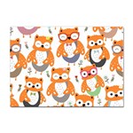 Cute Colorful Owl Cartoon Seamless Pattern Sticker A4 (10 pack)