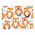 Cute Colorful Owl Cartoon Seamless Pattern Two Sides Premium Plush Fleece Blanket (Mini)