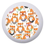 Cute Colorful Owl Cartoon Seamless Pattern Dento Box with Mirror