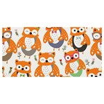 Cute Colorful Owl Cartoon Seamless Pattern Banner and Sign 4  x 2 