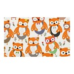Cute Colorful Owl Cartoon Seamless Pattern Banner and Sign 5  x 3 