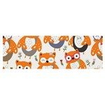 Cute Colorful Owl Cartoon Seamless Pattern Banner and Sign 6  x 2 