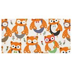 Cute Colorful Owl Cartoon Seamless Pattern Banner and Sign 8  x 4 