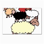 Sheep Postcards 5  x 7  (Pkg of 10)