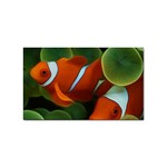 Fish Sticker Rectangular (100 pack)