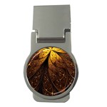 Gold, Golden Background Money Clips (Round) 