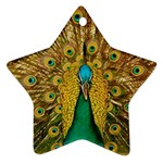 Peacock Feather Bird Peafowl Star Ornament (Two Sides)