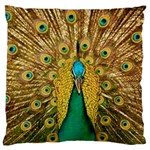 Peacock Feather Bird Peafowl Large Cushion Case (One Side)
