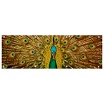 Peacock Feather Bird Peafowl Banner and Sign 9  x 3 