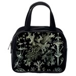 Weave Haeckel Lichenes Photobionten Classic Handbag (One Side)