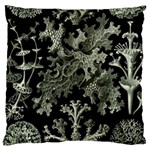 Weave Haeckel Lichenes Photobionten Large Cushion Case (One Side)