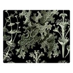 Weave Haeckel Lichenes Photobionten Premium Plush Fleece Blanket (Large)