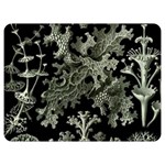 Weave Haeckel Lichenes Photobionten Two Sides Premium Plush Fleece Blanket (Extra Small)